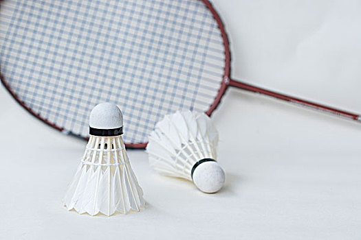 伍正在为即 伍正在为即