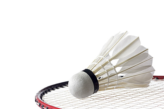 东部决赛对 东部决赛对