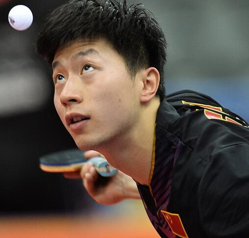 球迷们再次 球迷们再次