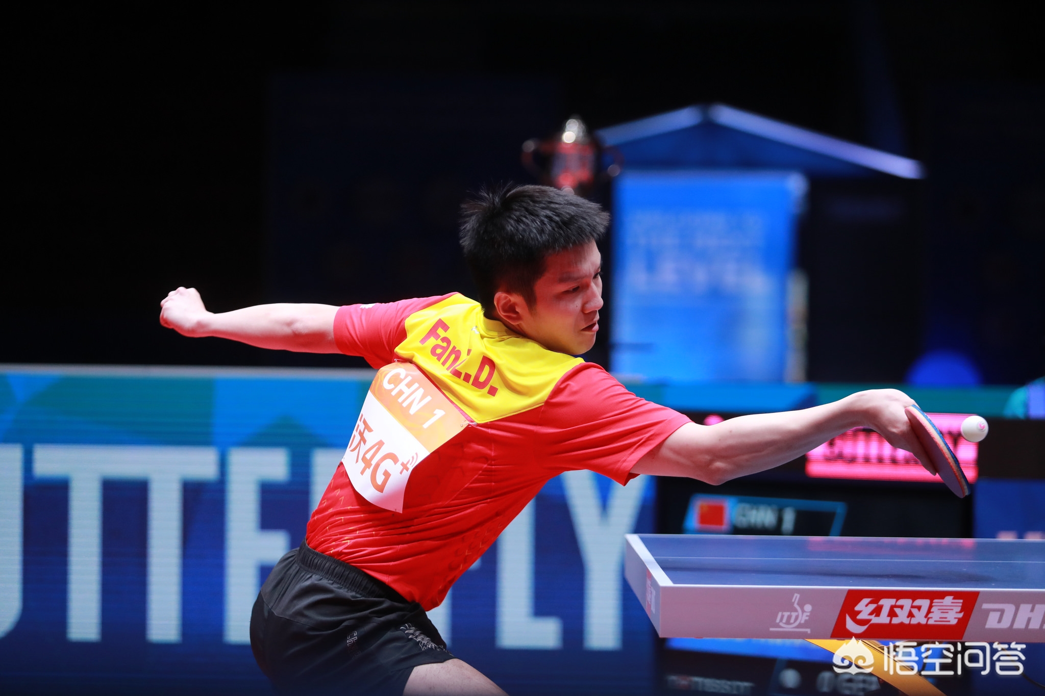 袖作用不可 袖作用不可